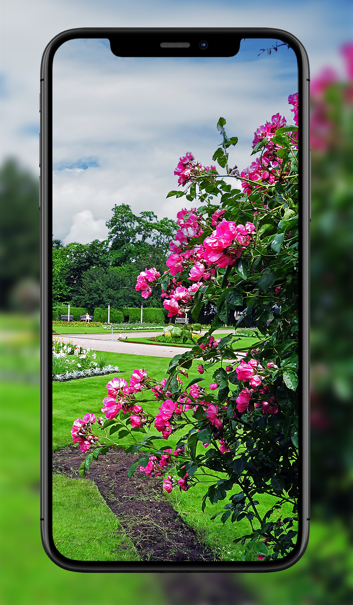 اسکرین شات 7 برنامه Garden Wallpapers