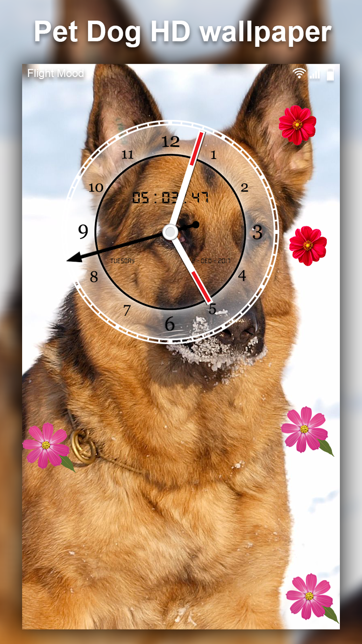 اسکرین شات 4 برنامه Cute Pet Dog Live Wallpaper HD