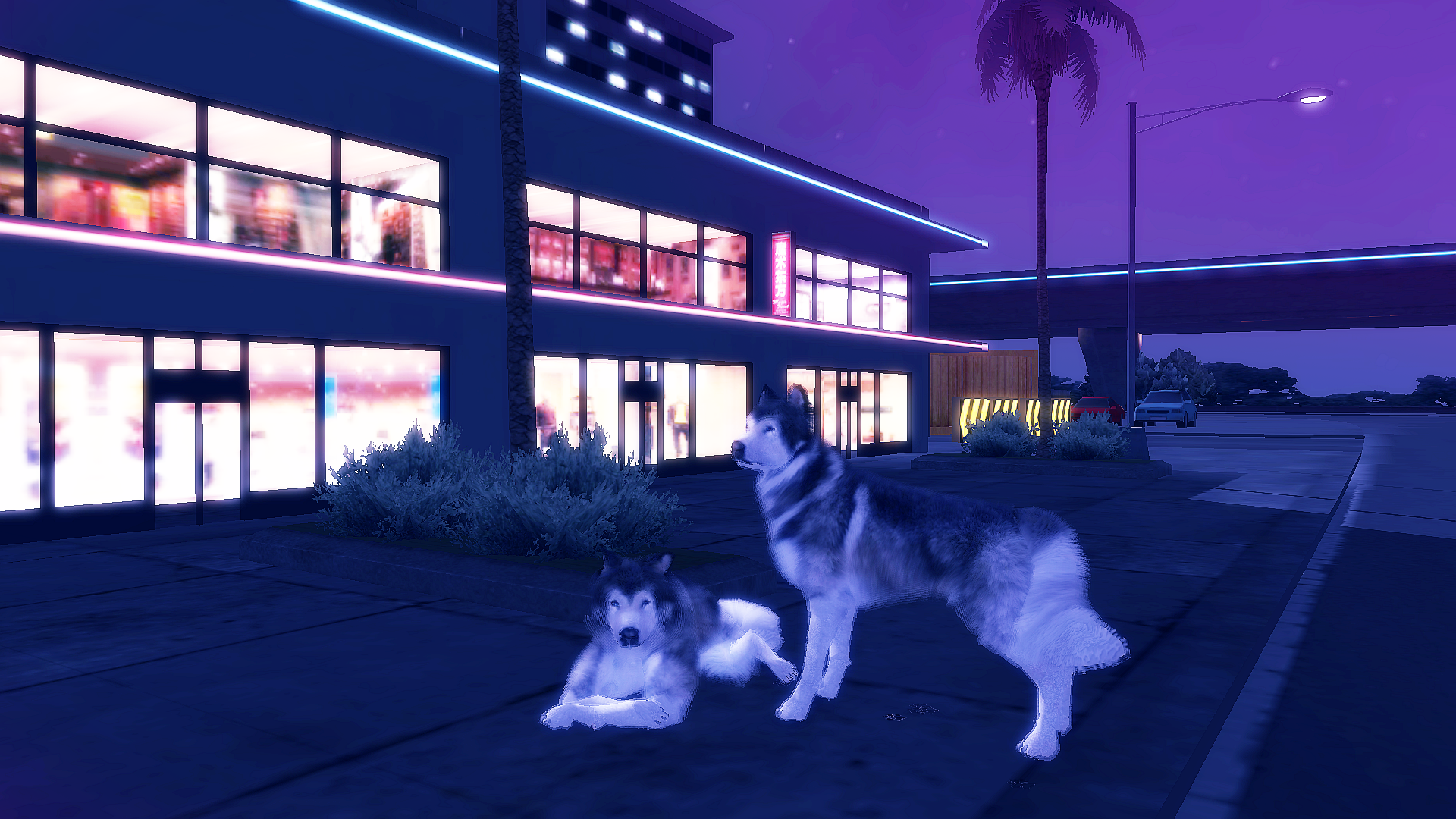 اسکرین شات 7 بازی Husky Dog Simulator 3D