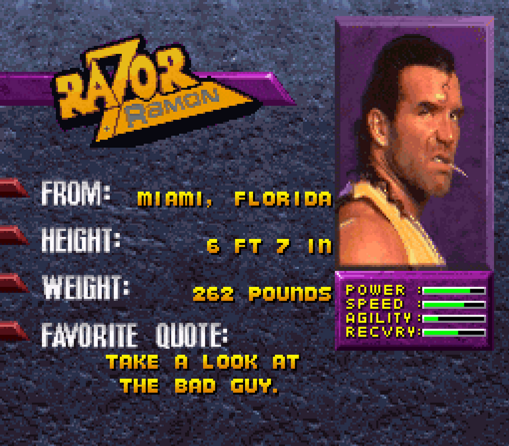 اسکرین شات 12 بازی کشتی کج سگا