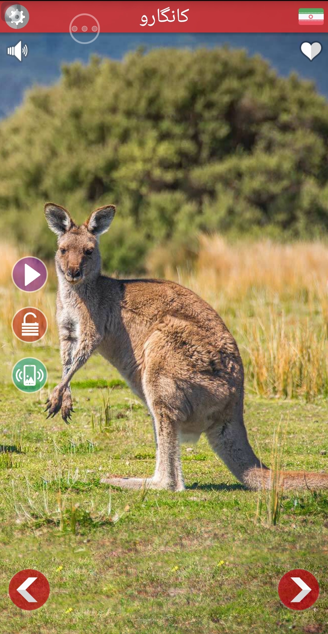 اسکرین شات 7 برنامه صدای حیوانات