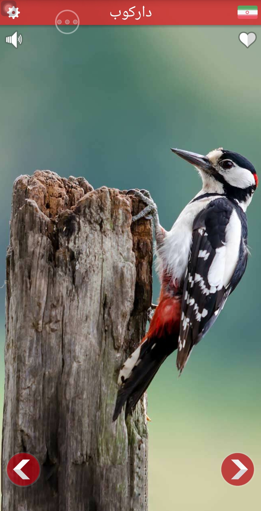 اسکرین شات 6 برنامه صدای حیوانات