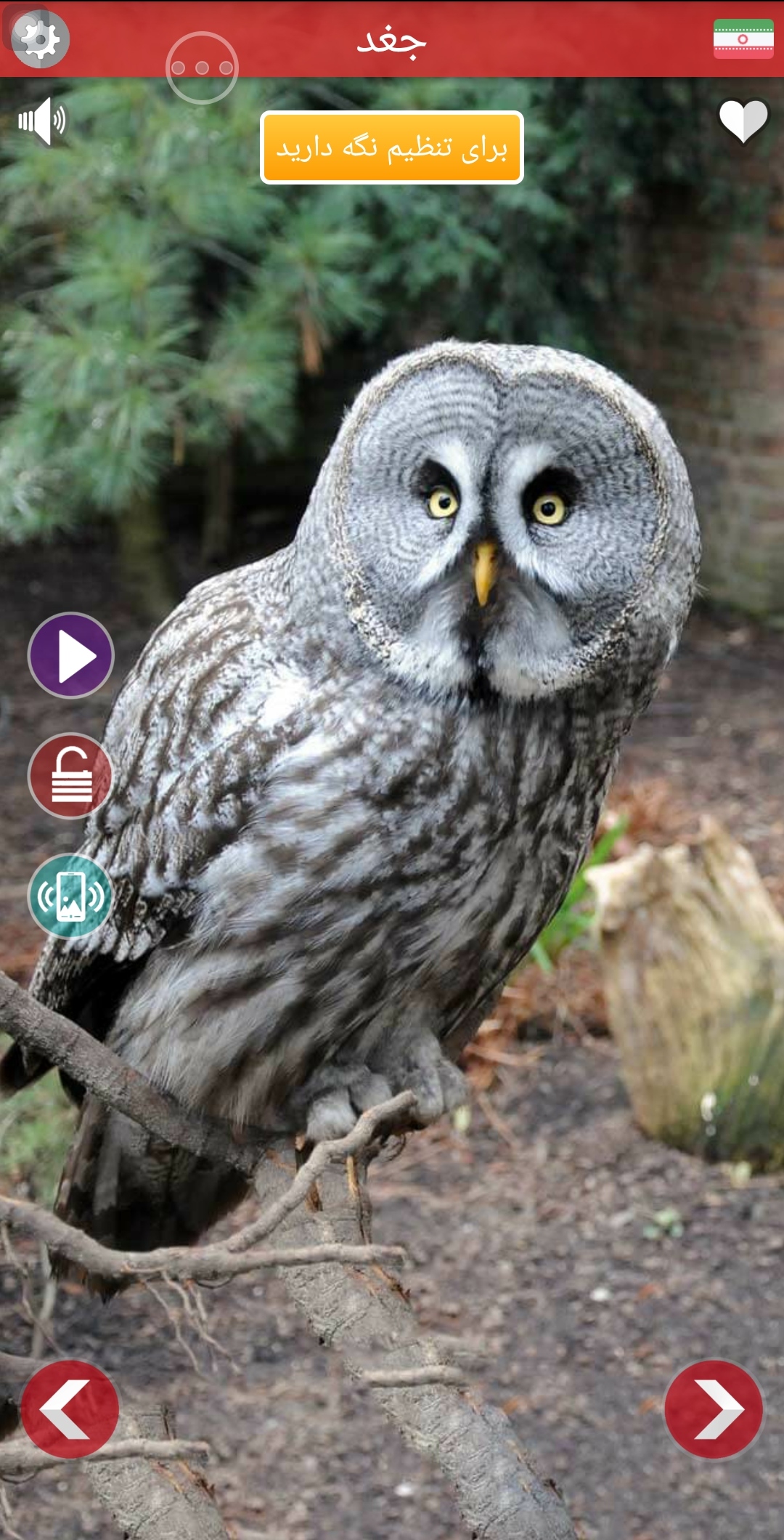 اسکرین شات 5 برنامه صدای حیوانات