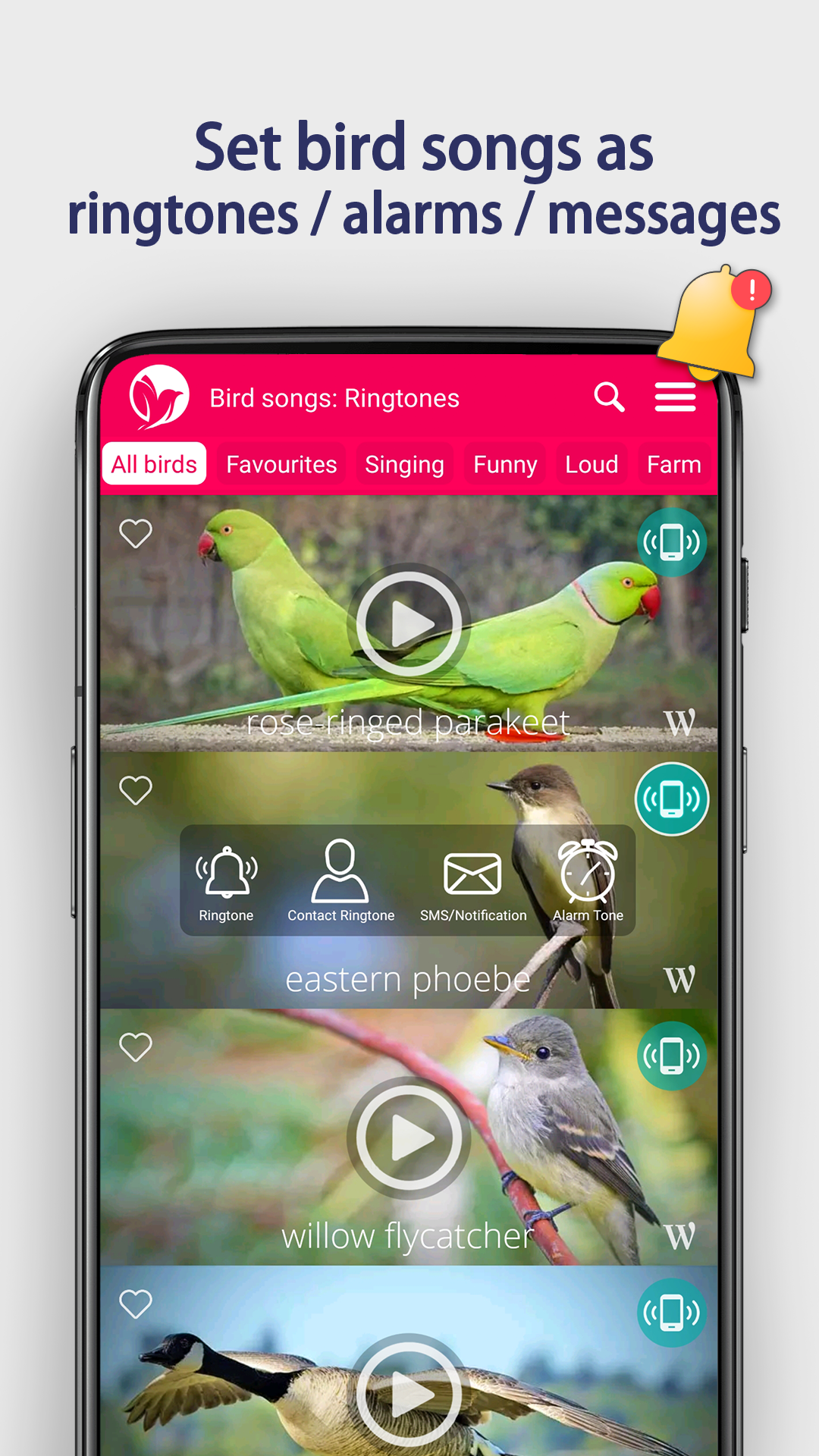 اسکرین شات 3 برنامه Bird Songs: Ringtones