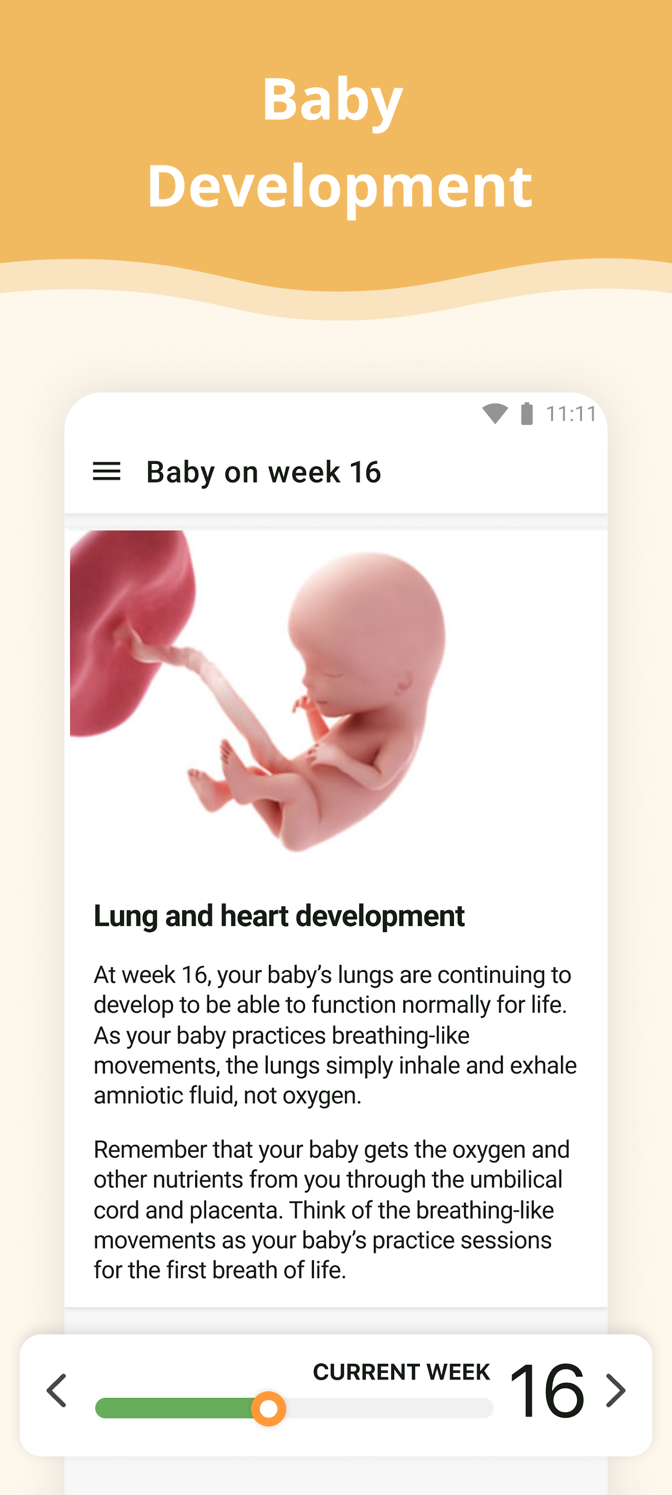 اسکرین شات 2 برنامه Pregnancy App