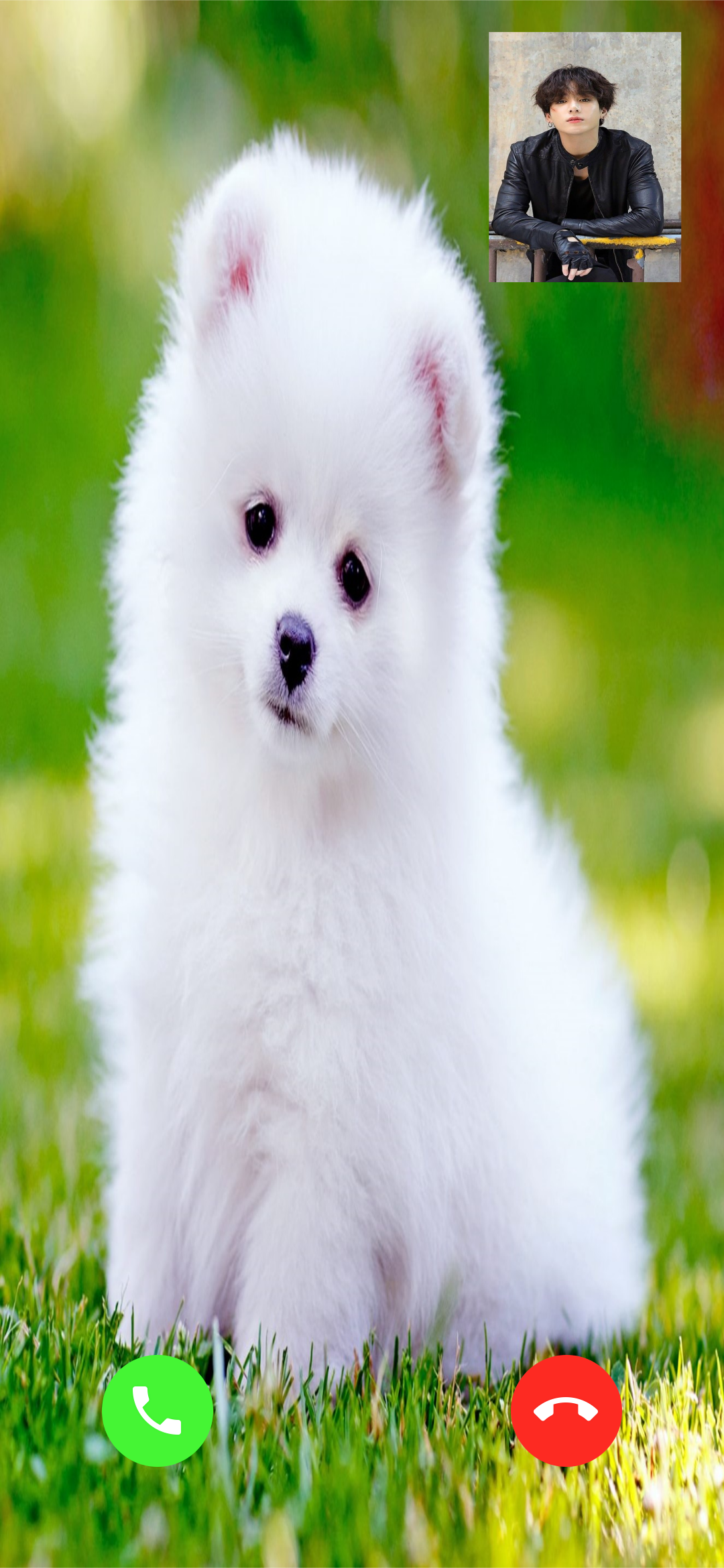 اسکرین شات 1 برنامه Pomeranian Dog Video Call Simu