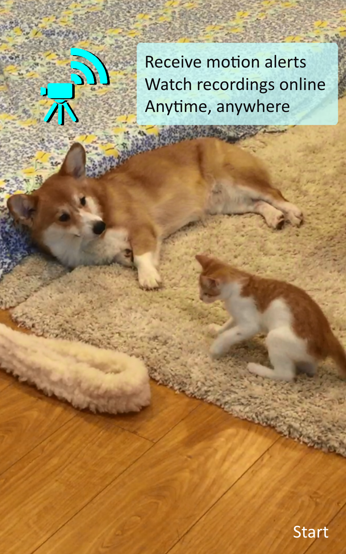 اسکرین شات 7 برنامه Smart Home Surveillance Picket