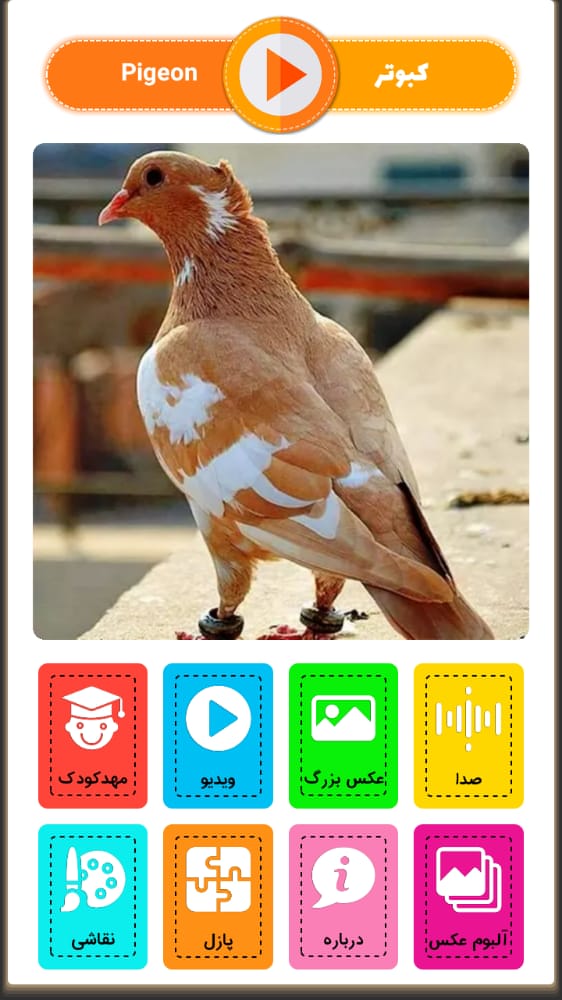اسکرین شات 3 بازی آقای قوقولی | صدای حیوانات