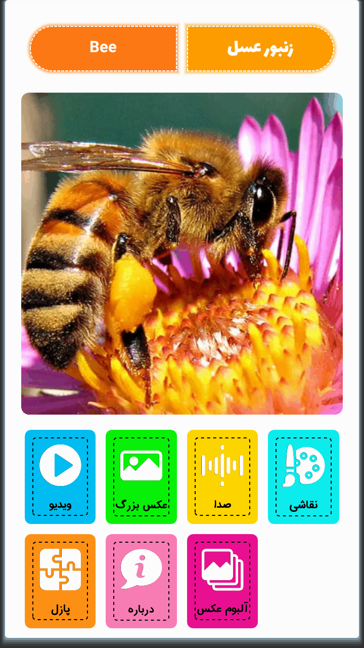 اسکرین شات 3 برنامه ‏آقای قوقولی انگلیسی