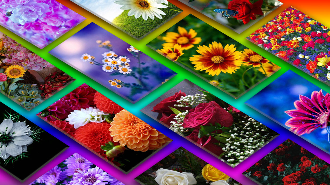 اسکرین شات 1 برنامه Flowers Wallpaper