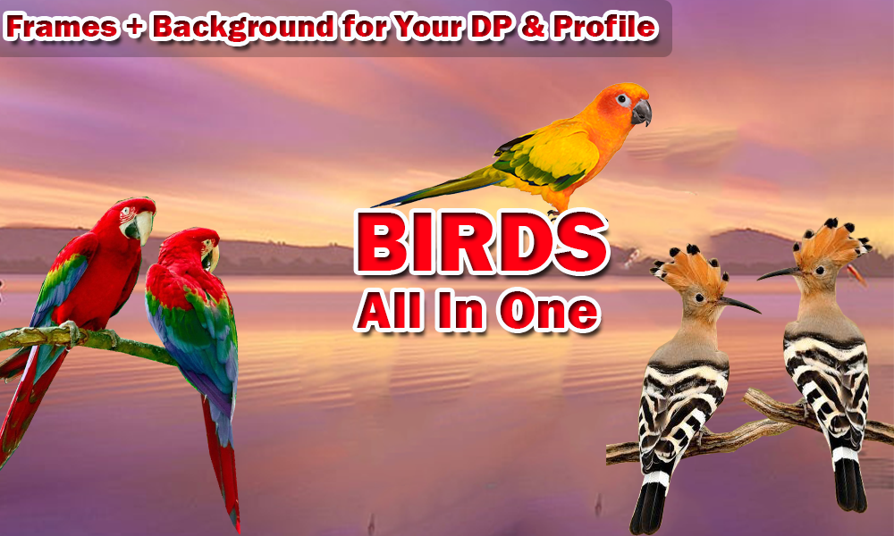 اسکرین شات 4 برنامه Happy Birthday Insta DP : Comp