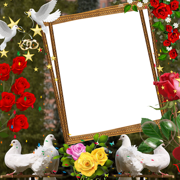 اسکرین شات 2 برنامه Love Birds Insta DP : Bird DP