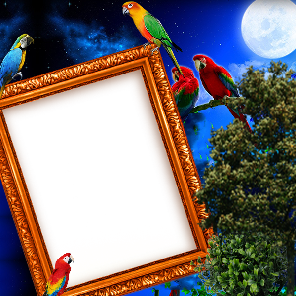 اسکرین شات 3 برنامه Parrot Insta DP