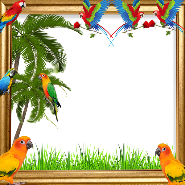 اسکرین شات 2 برنامه Parrot Insta DP