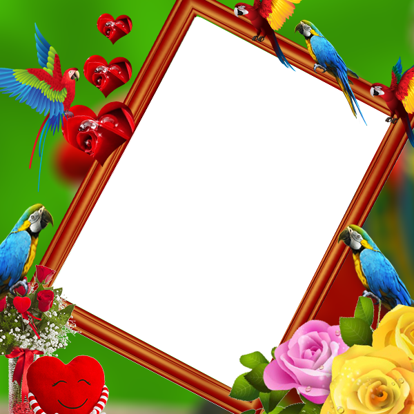 اسکرین شات 1 برنامه Parrot Insta DP