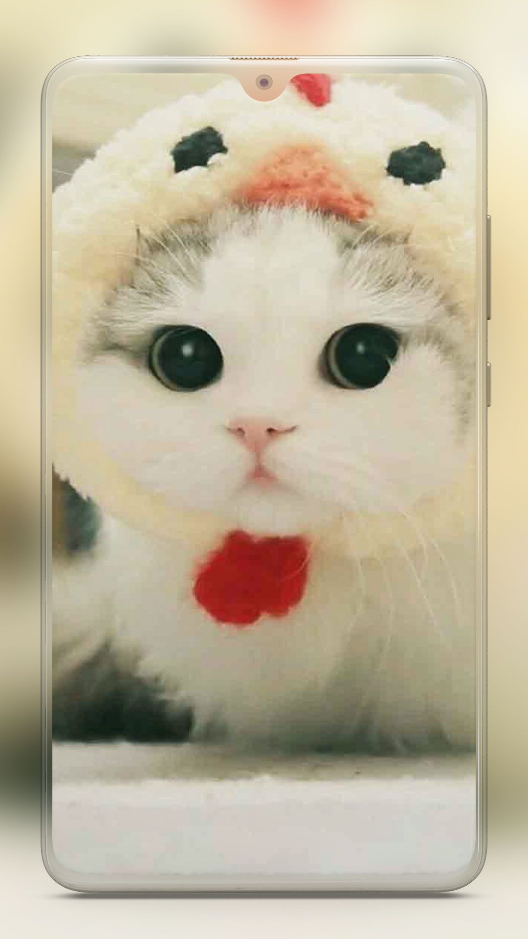 اسکرین شات 3 برنامه Cute Cat Wallpaper