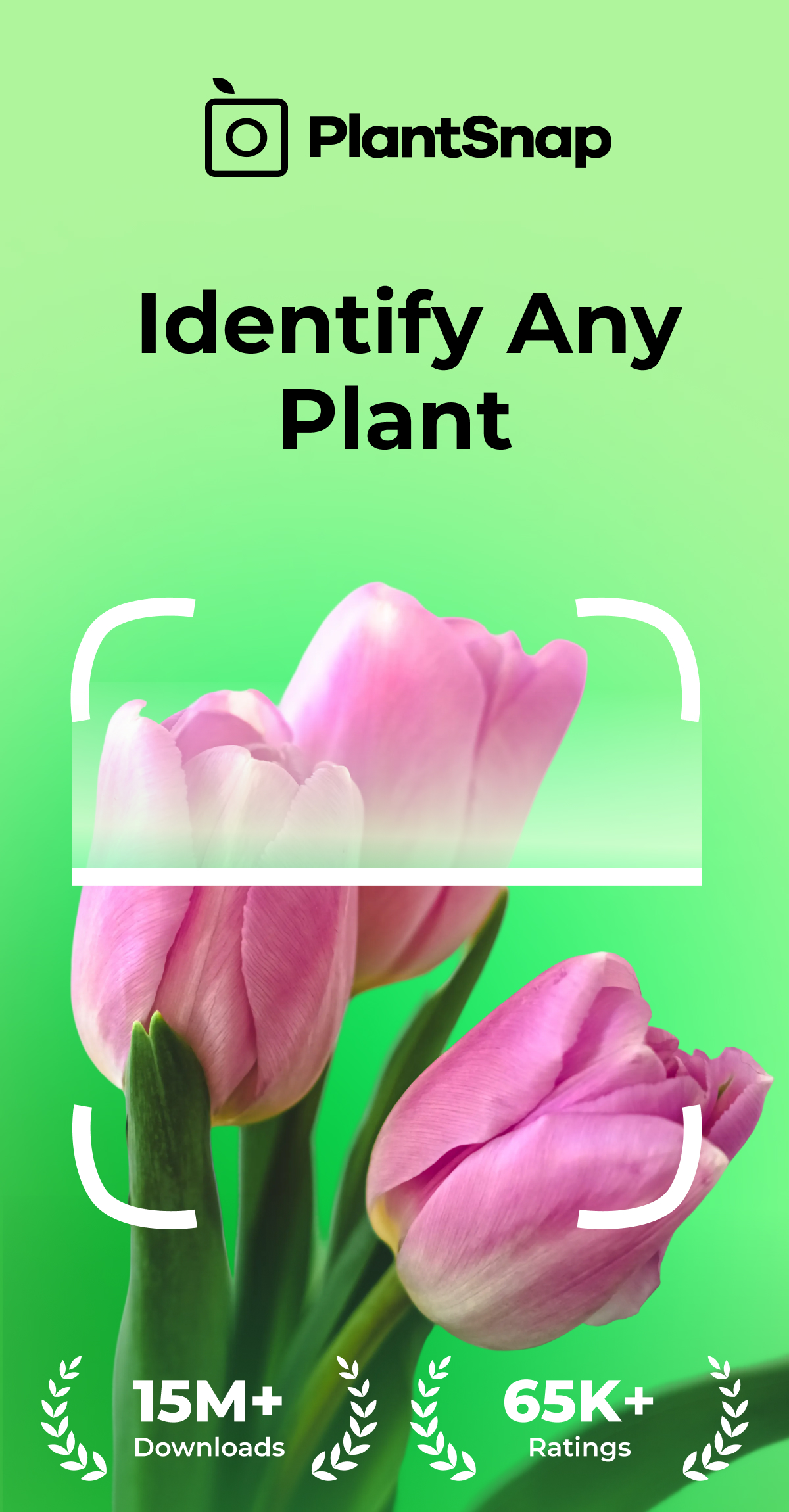 اسکرین شات 1 برنامه PlantSnap: Plant Identifier