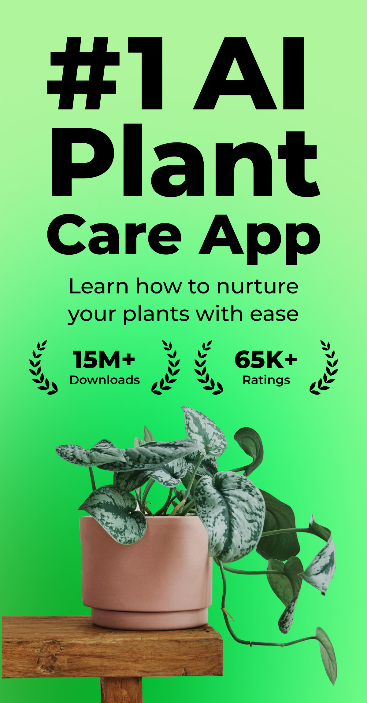 اسکرین شات 8 برنامه PlantSnap: Plant Identifier