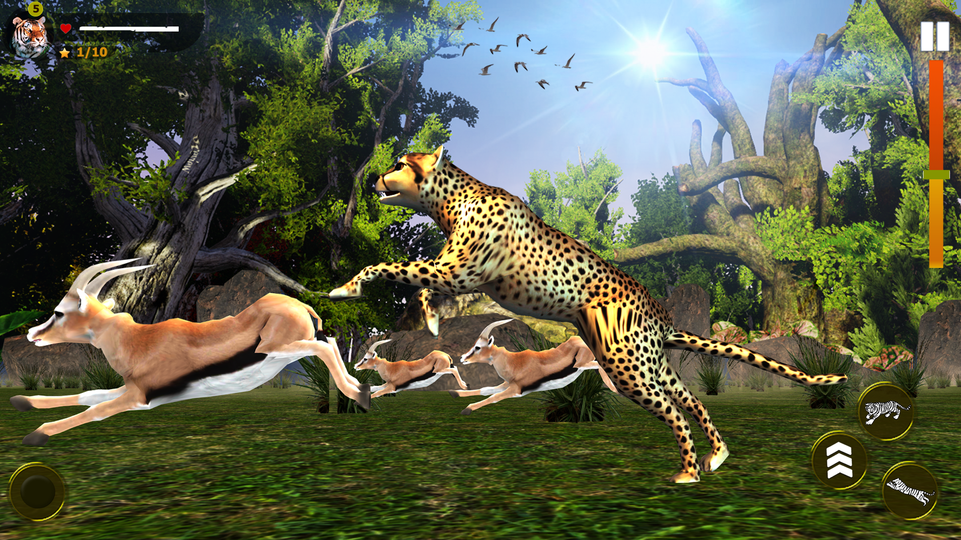 اسکرین شات 4 بازی Wild Simulator 3D