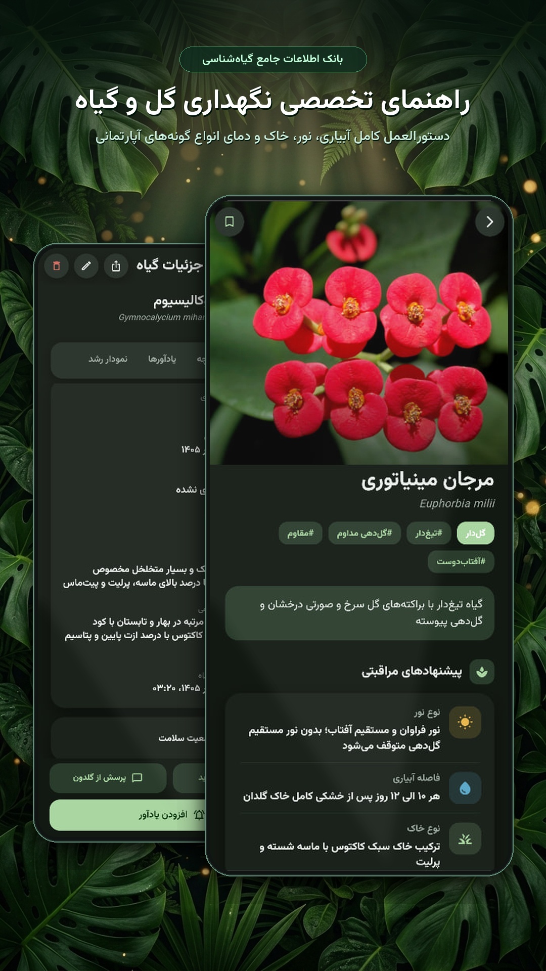 اسکرین شات 4 برنامه ‏گلدون