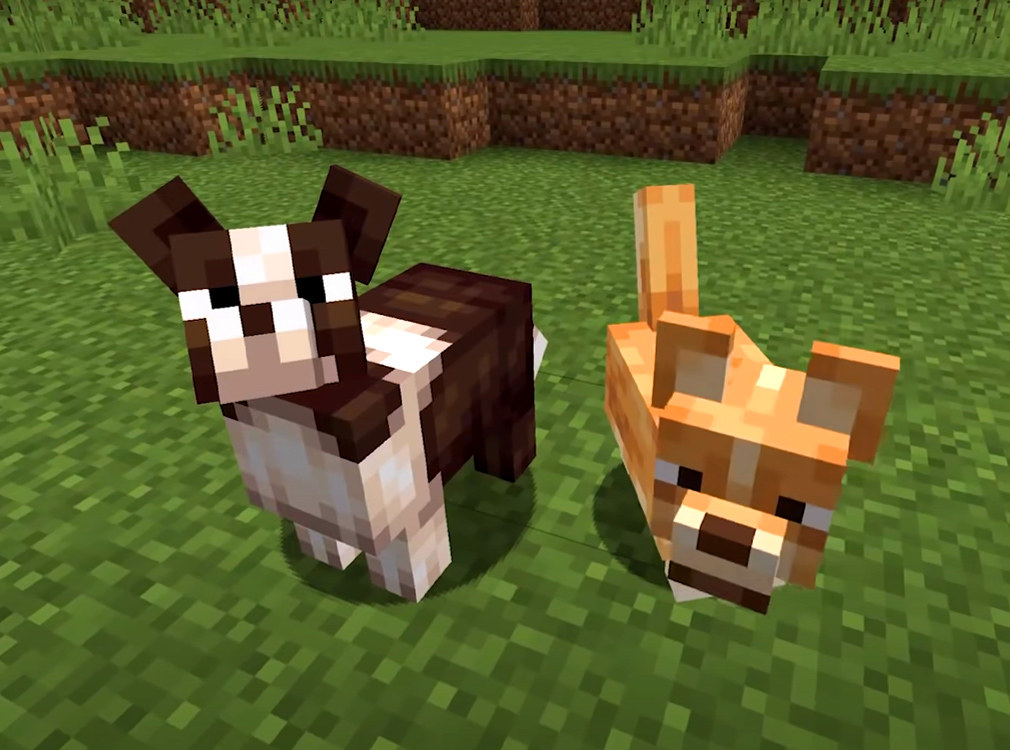 اسکرین شات 2 برنامه Dog Mod Pets