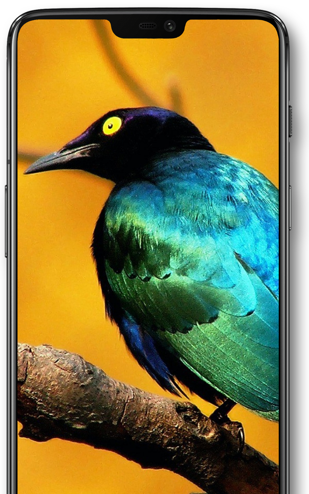 اسکرین شات 4 برنامه Walls4U: 4K Wallpapers + Maker