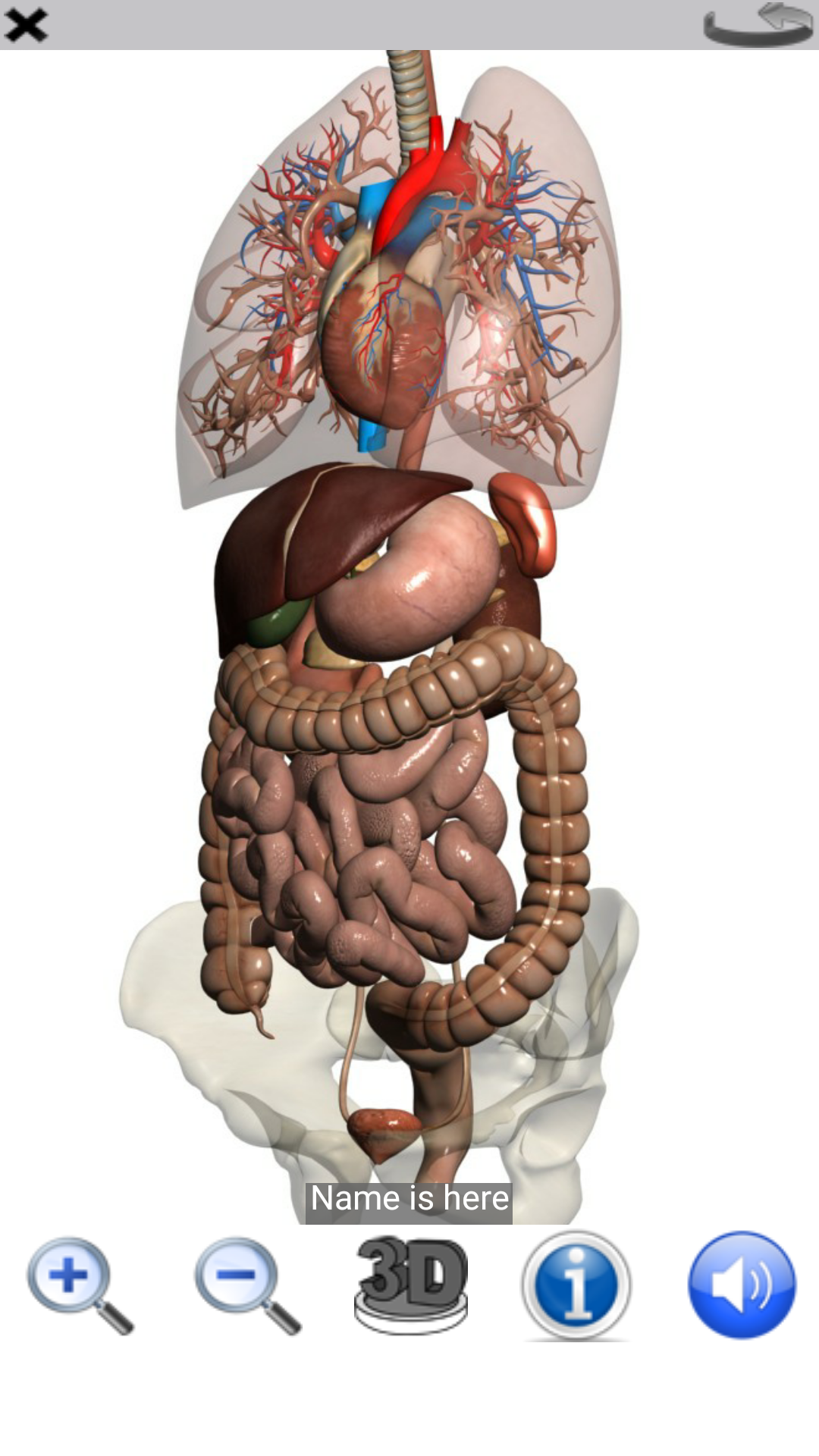 اسکرین شات 6 برنامه Visual Anatomy Lite