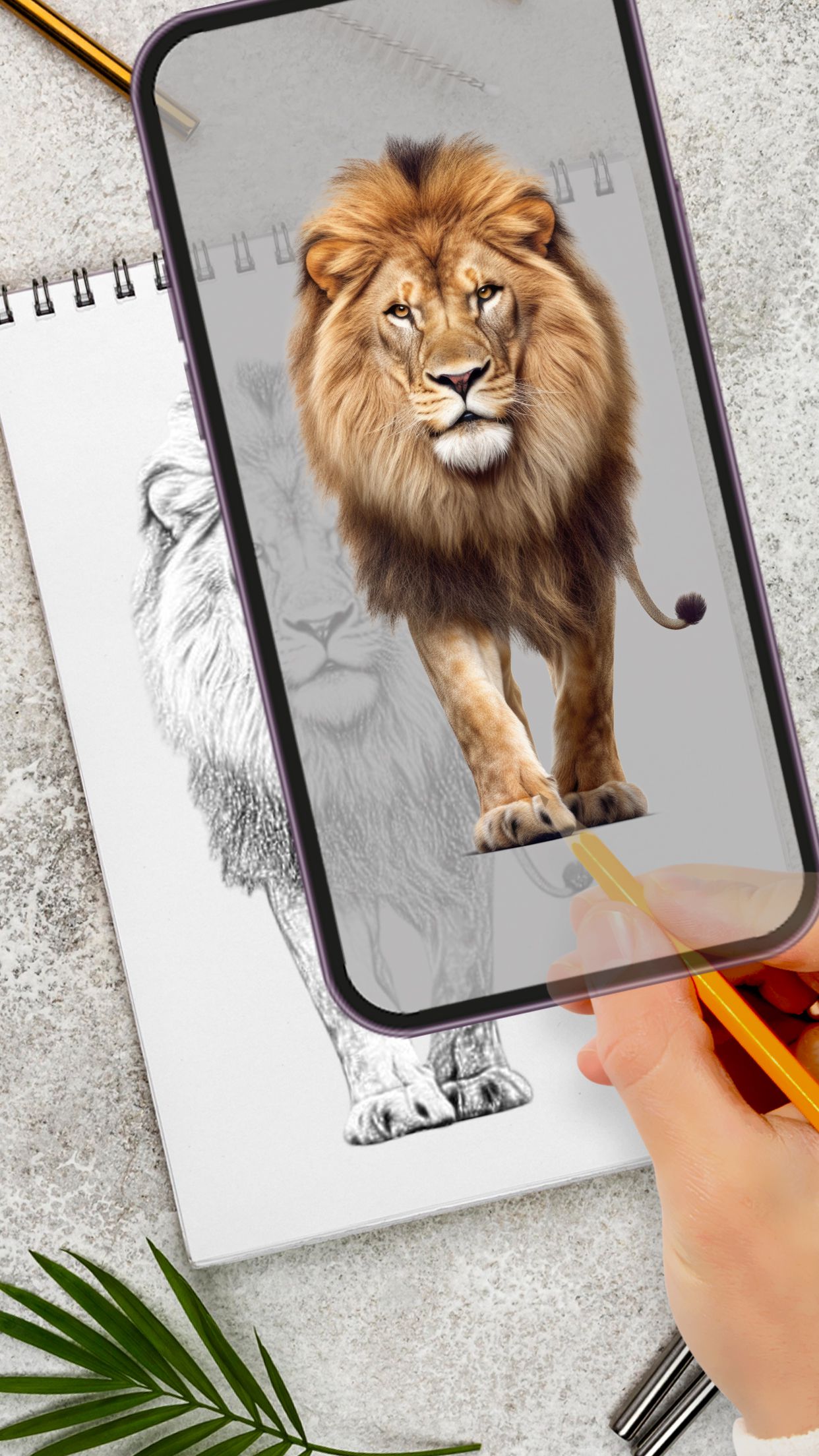 اسکرین شات 2 برنامه Papercopy: Tracer & AR Drawing