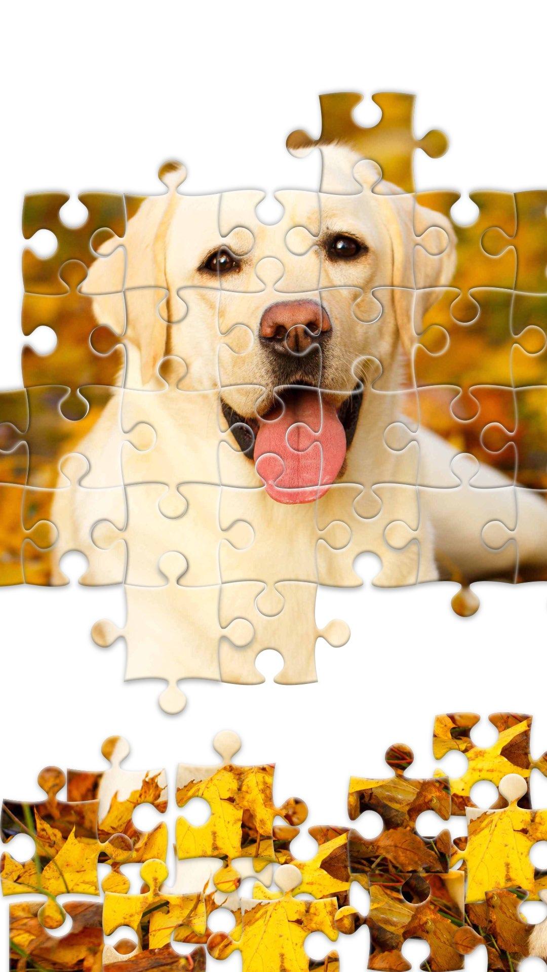 اسکرین شات 7 برنامه Jigsaw1000: Jigsaw puzzles