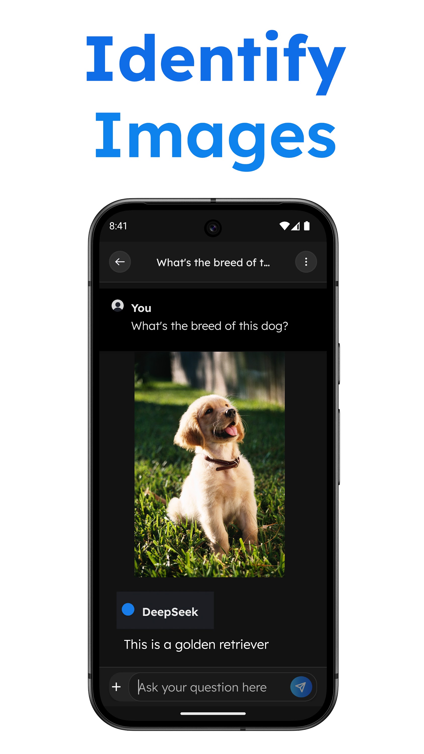 اسکرین شات 4 برنامه Deep Search - AI Chatbot