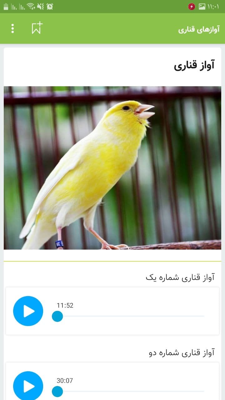 اسکرین شات 2 برنامه آواز صوت قناری ، تغذیه نگهداری
