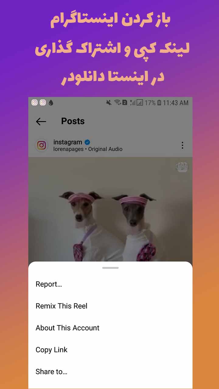اسکرین شات 4 برنامه اینستاگرام پیشرفته - اینستا دانلودر