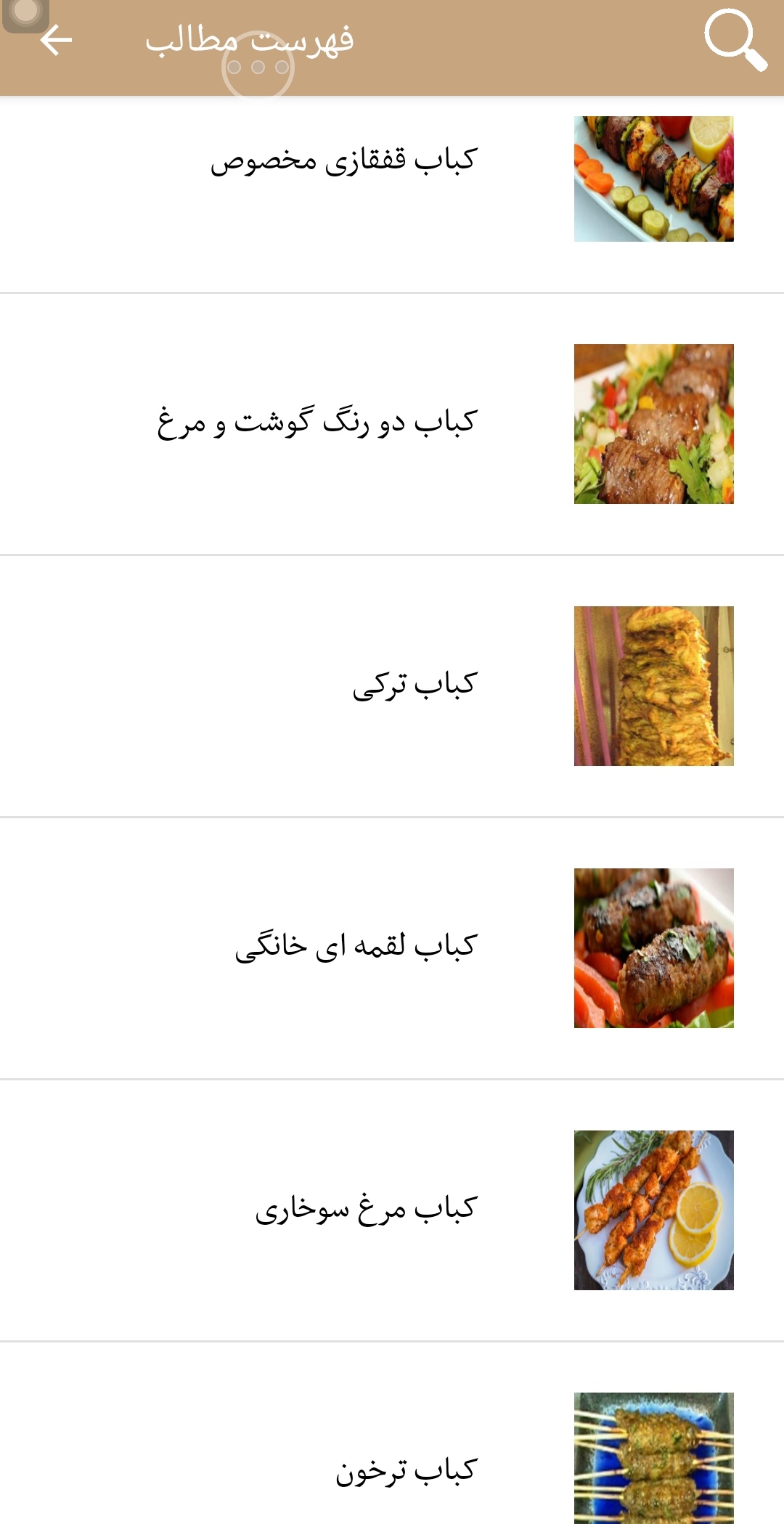 اسکرین شات 2 برنامه کباب و جوجه کباب لذیذ