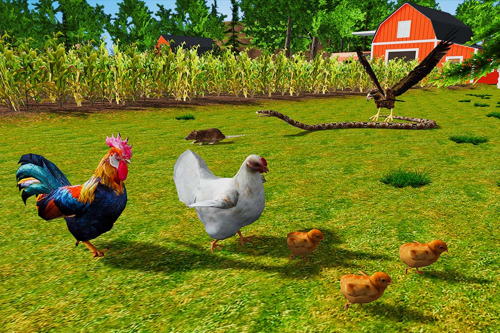 اسکرین شات 3 بازی Rooster Simulator - Chick Life