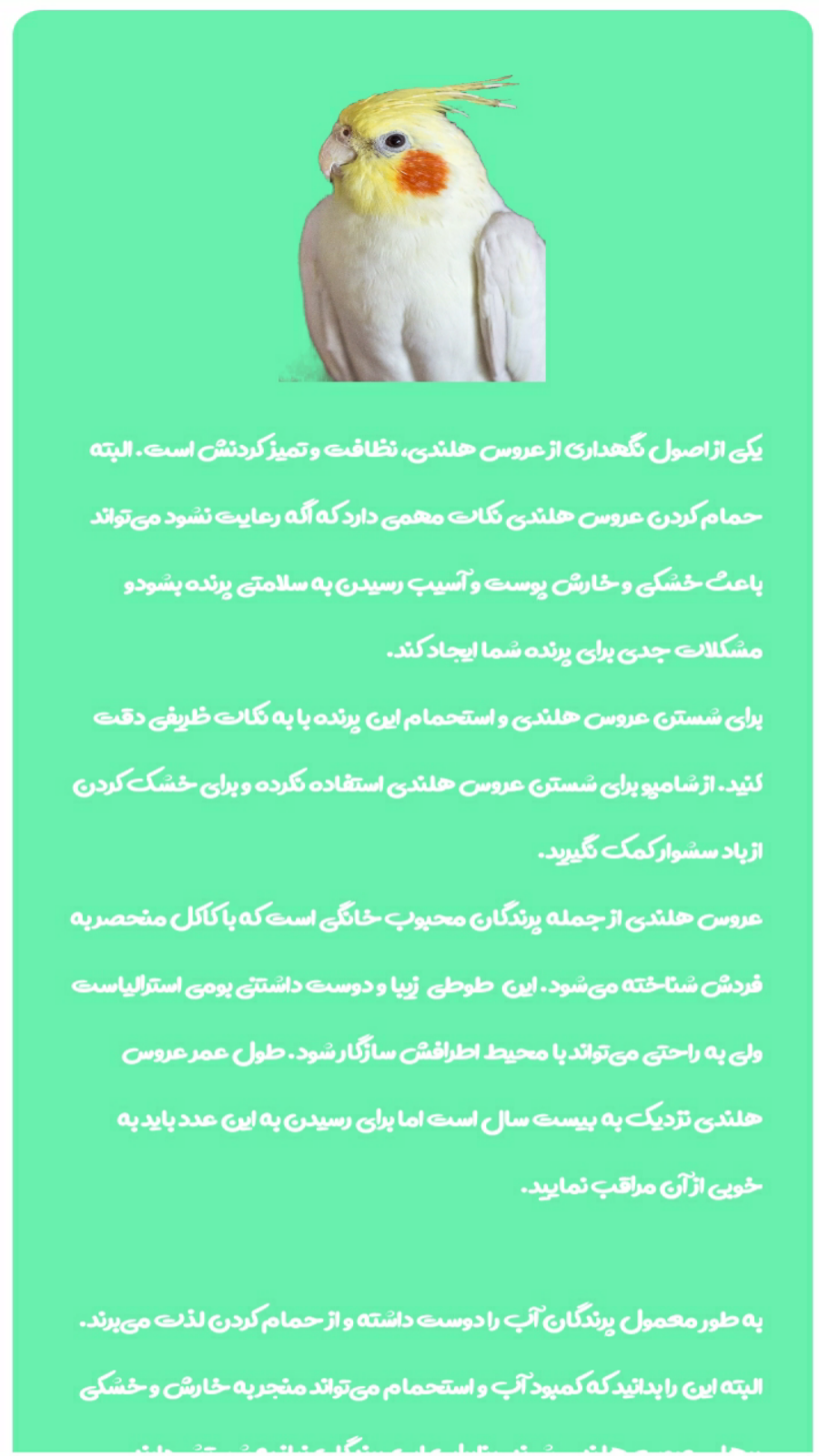 اسکرین شات 1 برنامه عروس هلندی یار