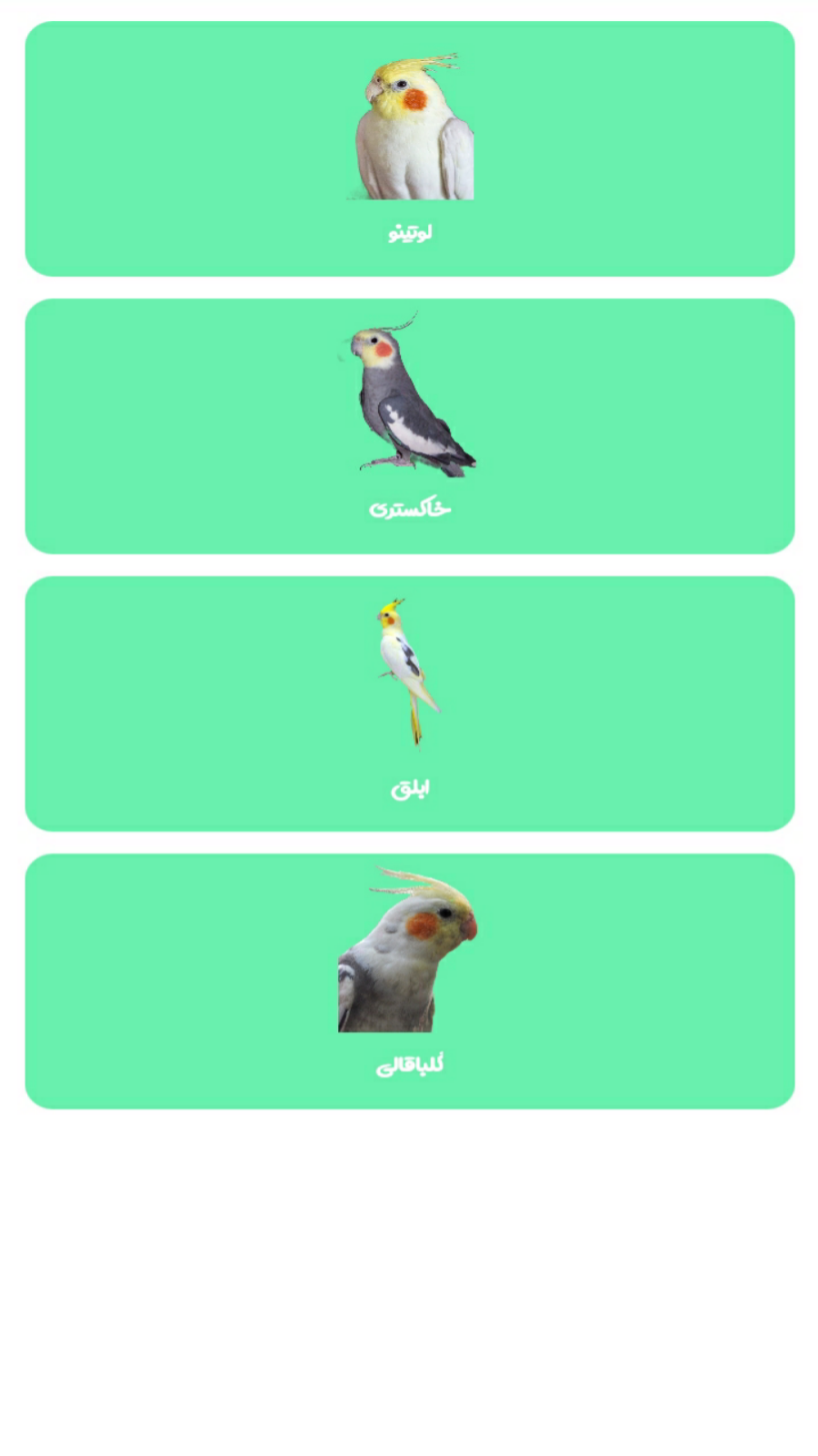 اسکرین شات 2 برنامه عروس هلندی یار