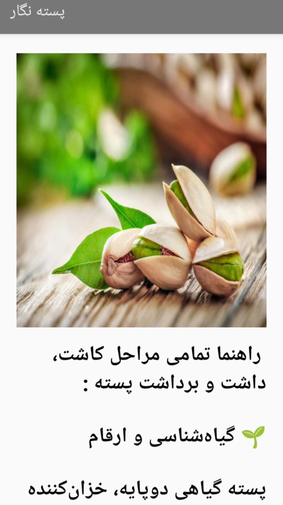 اسکرین شات 2 برنامه ‏‏‏‏‏پسته نگار