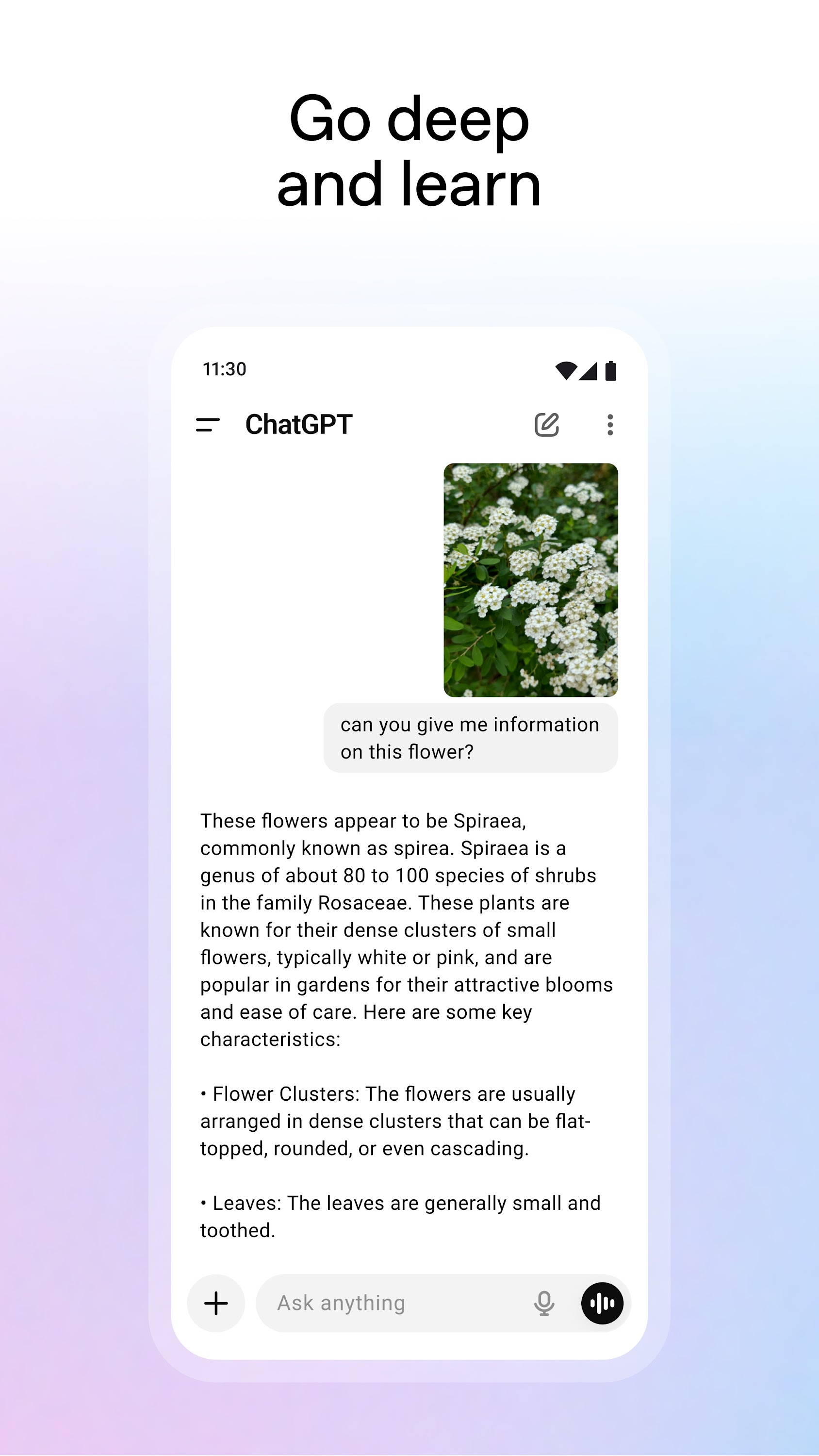 اسکرین شات 6 برنامه ChatGPT