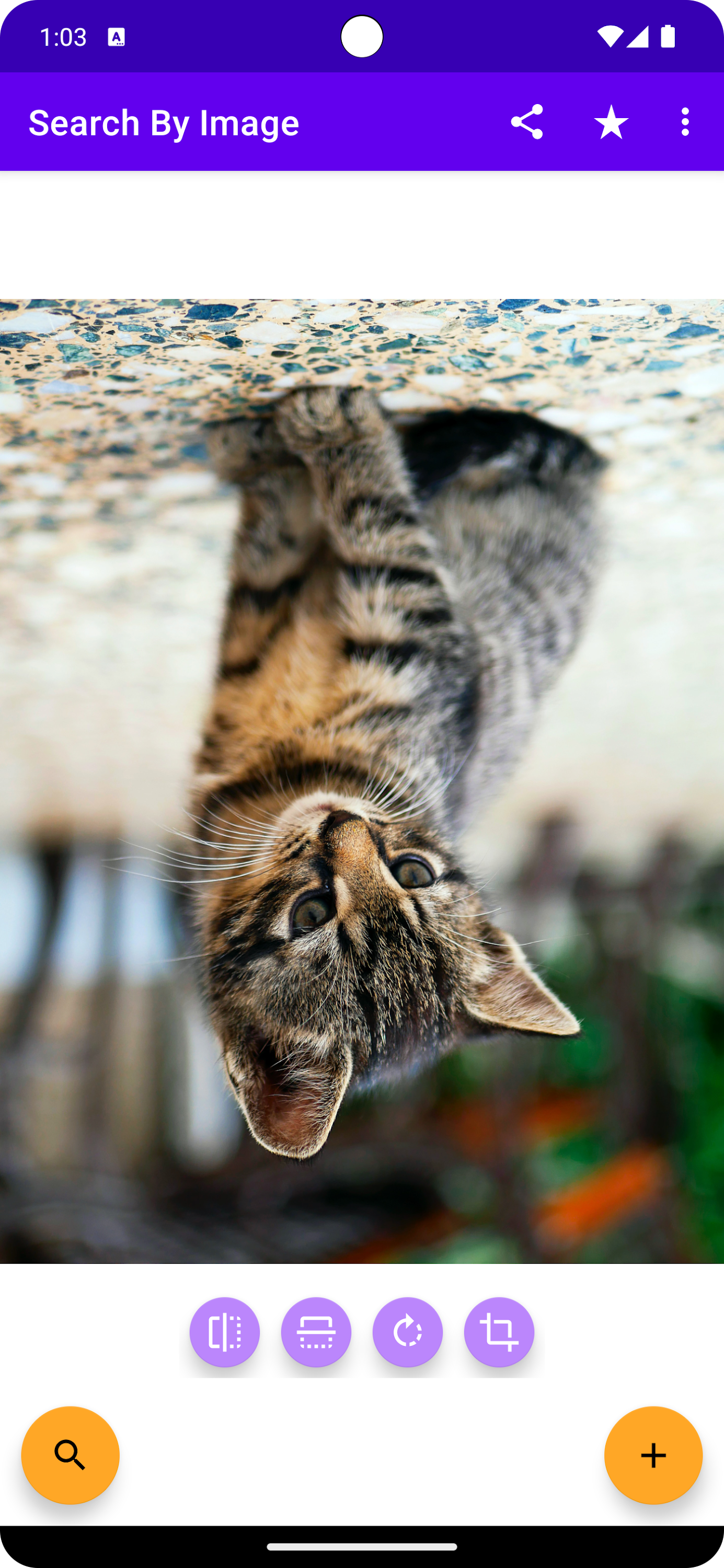 اسکرین شات 3 برنامه Search By Image