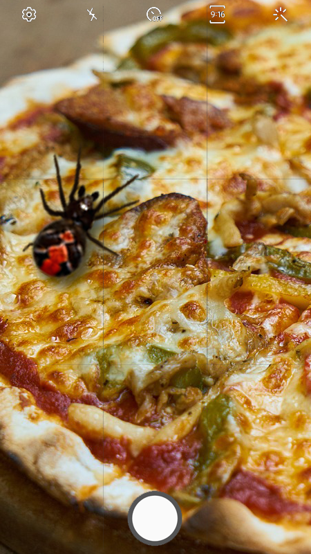 اسکرین شات 2 برنامه Spider filter prank