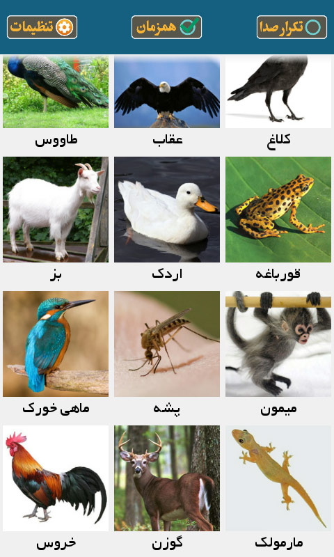 اسکرین شات 8 بازی صدای حیوانات ( آموزش کودکان )