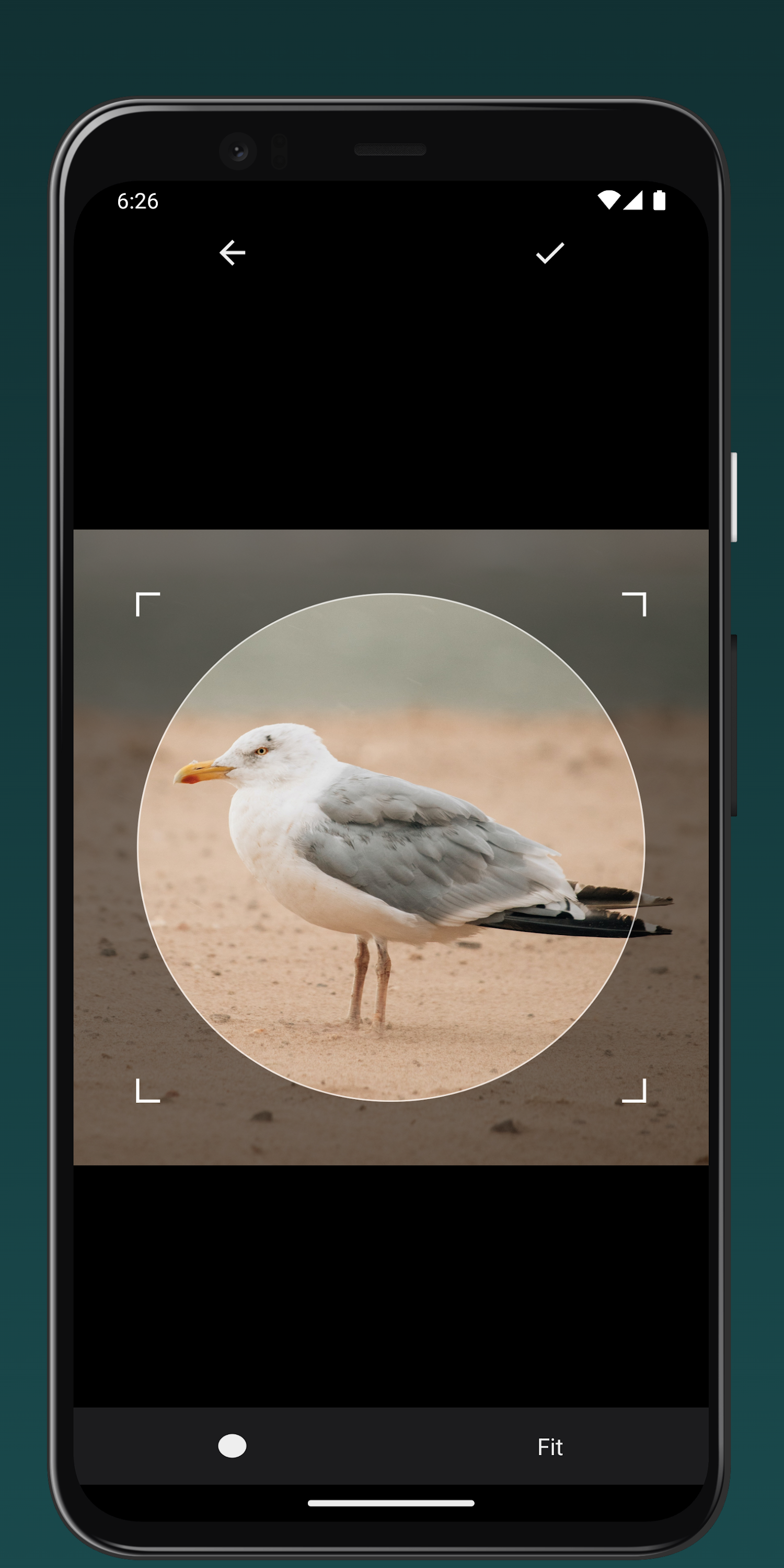 اسکرین شات 7 برنامه Crop Image