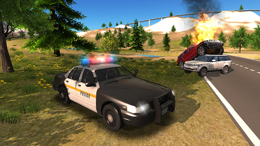 اسکرین شات 7 بازی Police Car Driving Offroad