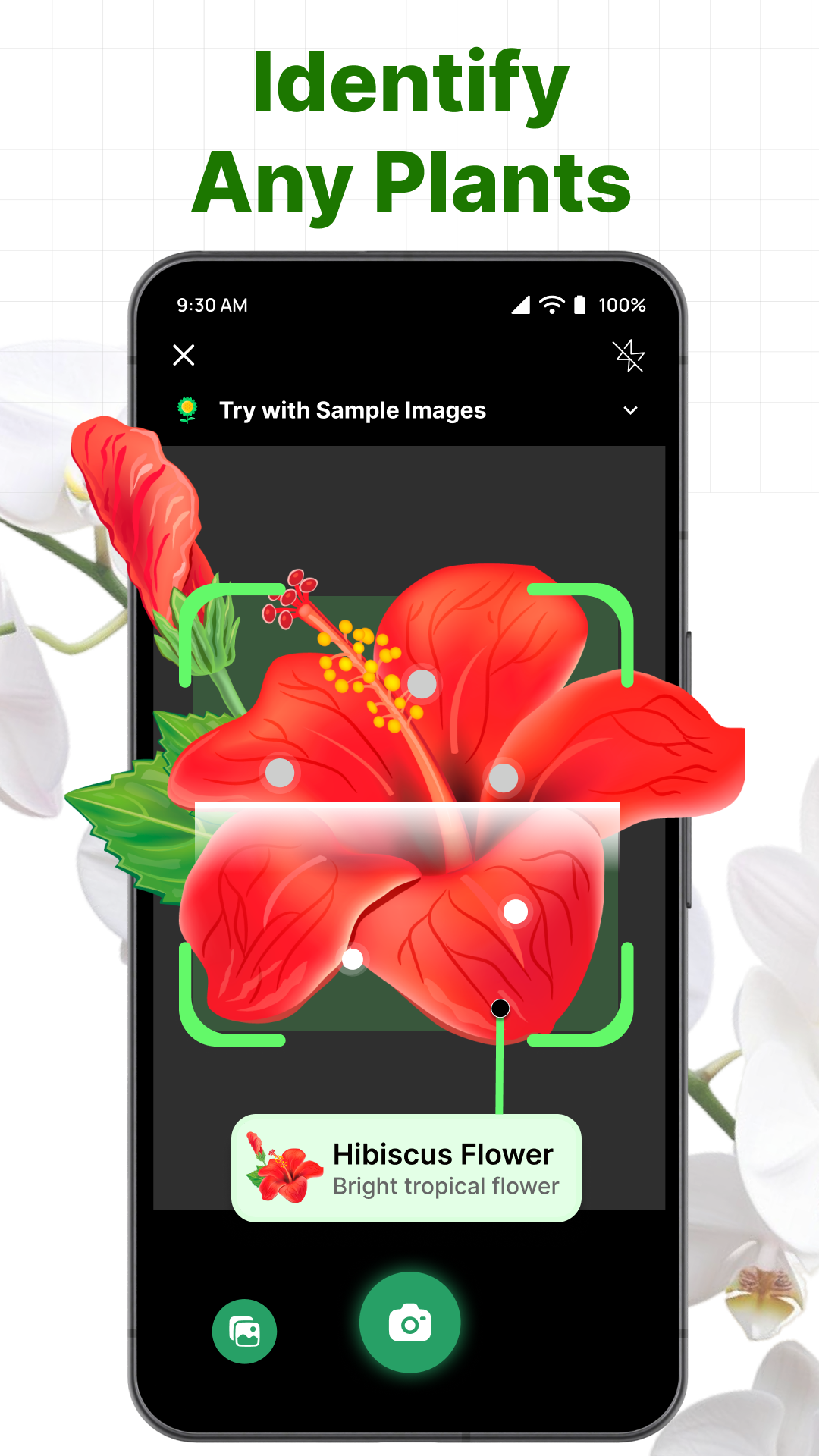 اسکرین شات 1 برنامه ePlant - Ai Plant Identifier