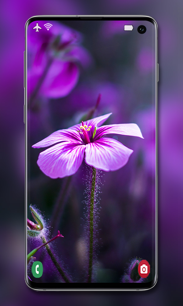 اسکرین شات 7 برنامه Purple Wallpaper