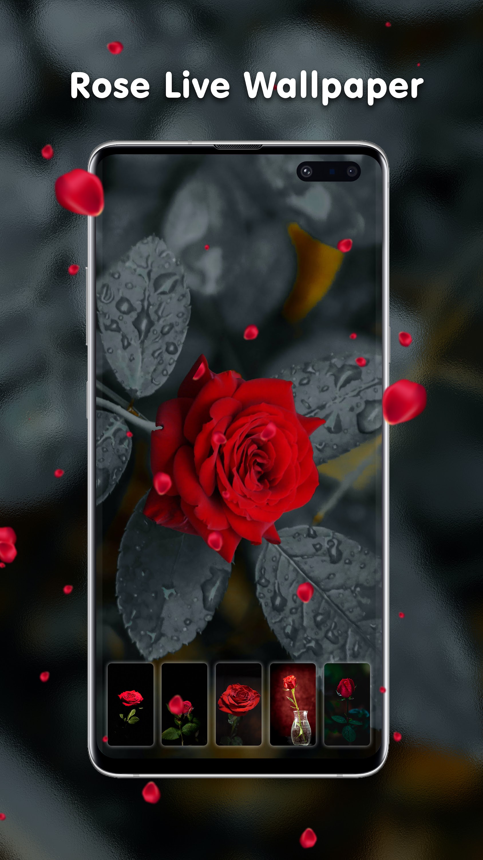 اسکرین شات 5 برنامه Transparent Live Wallpaper