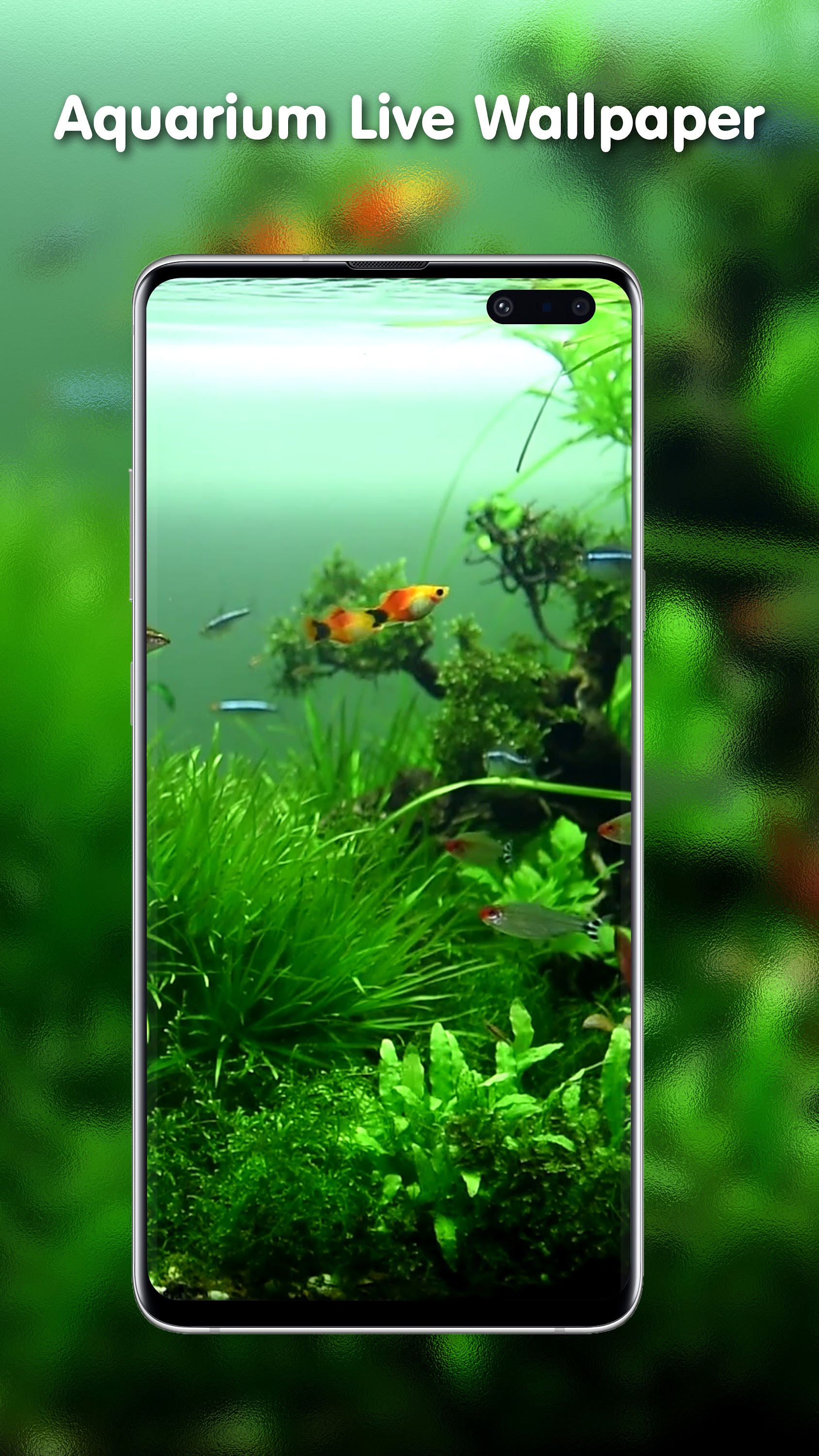 اسکرین شات 6 برنامه Transparent Live Wallpaper