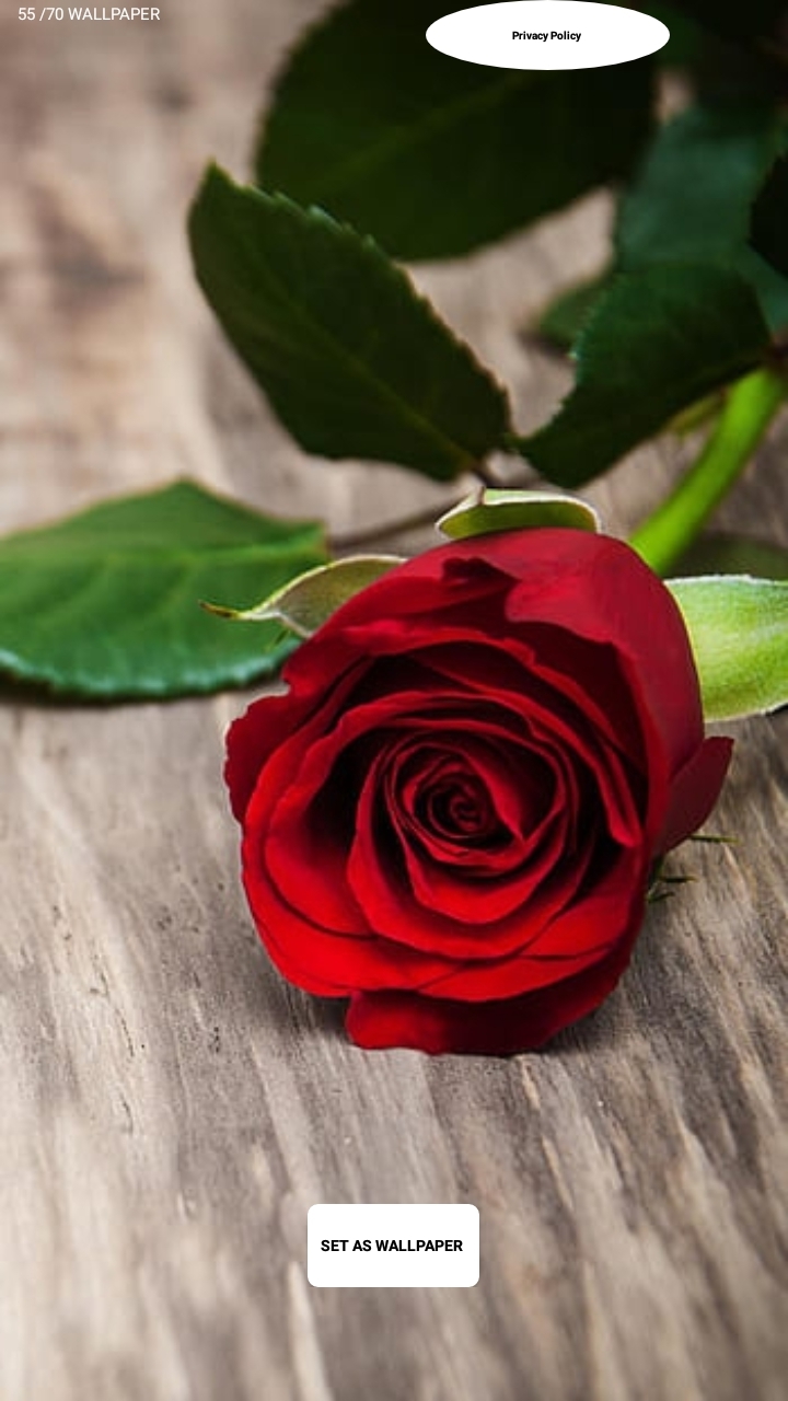 اسکرین شات 28 برنامه 5. قرمز تصاویر زمینه