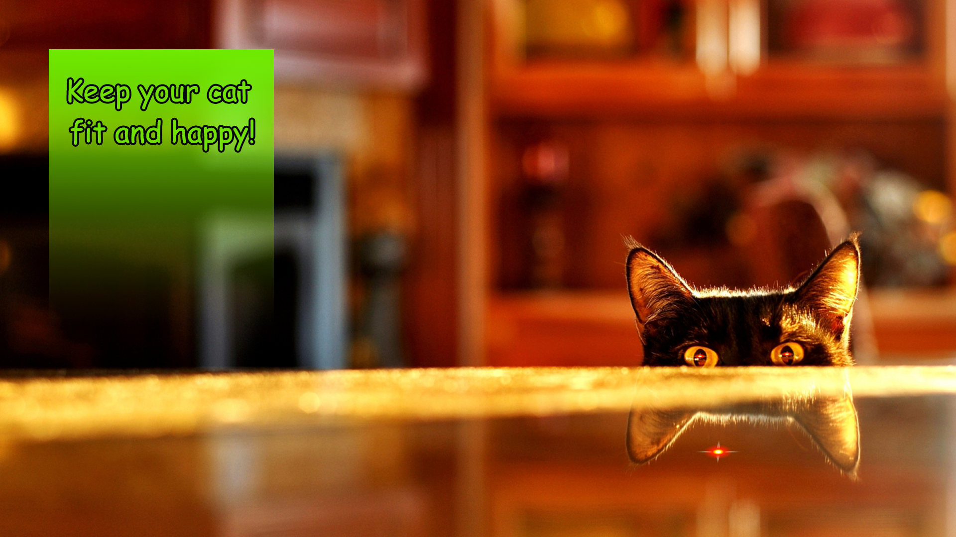 اسکرین شات 3 بازی Laser for cat. Lazer simulator