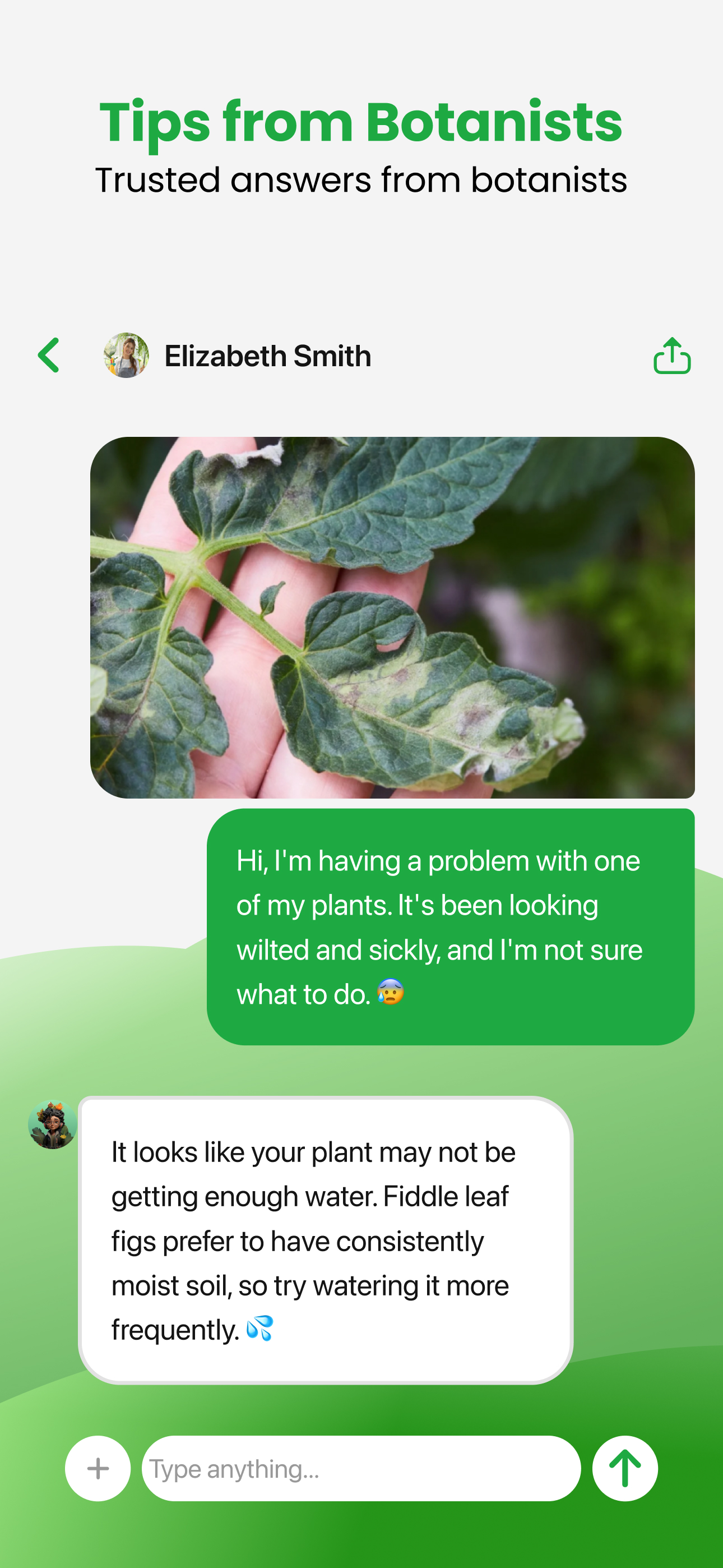 اسکرین شات 6 برنامه Plant App - Plant Identifier